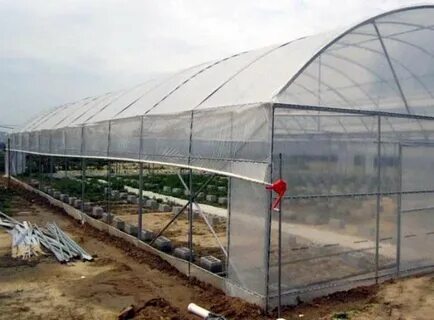 تصویر 4 از قیمت نایلون کشاورزی با عرض 14 و 10 درصد UV + خرید عمده